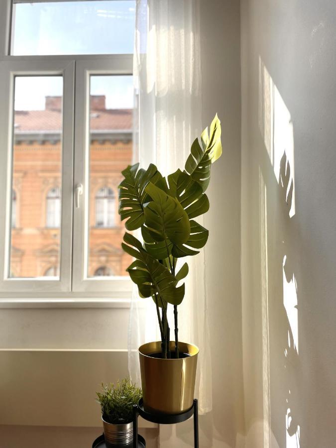 Eotvos 25 Apartment Budapest Esterno foto